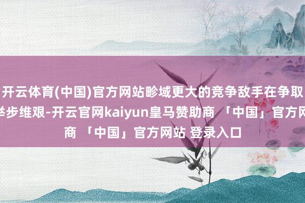 开云体育(中国)官方网站畛域更大的竞争敌手在争取大型往来时举步维艰-开云官网kaiyun皇马赞助商 「中国」官方网站 登录入口