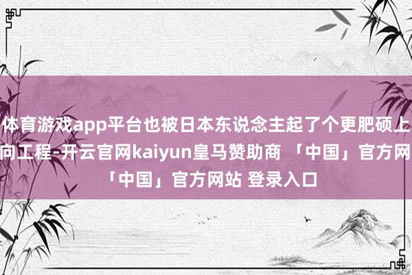 体育游戏app平台也被日本东说念主起了个更肥硕上的名字：逆向工程-开云官网kaiyun皇马赞助商 「中国」官方网站 登录入口